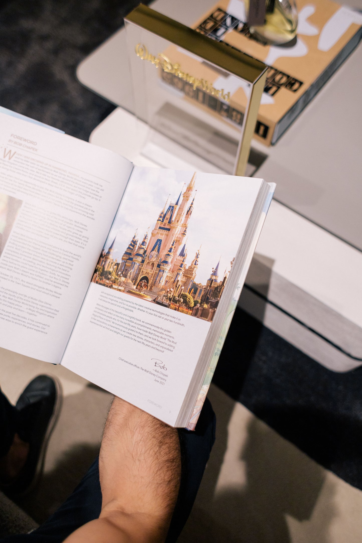 A Portrait of Walt Disney World: 50 Years of The Most Magical Place